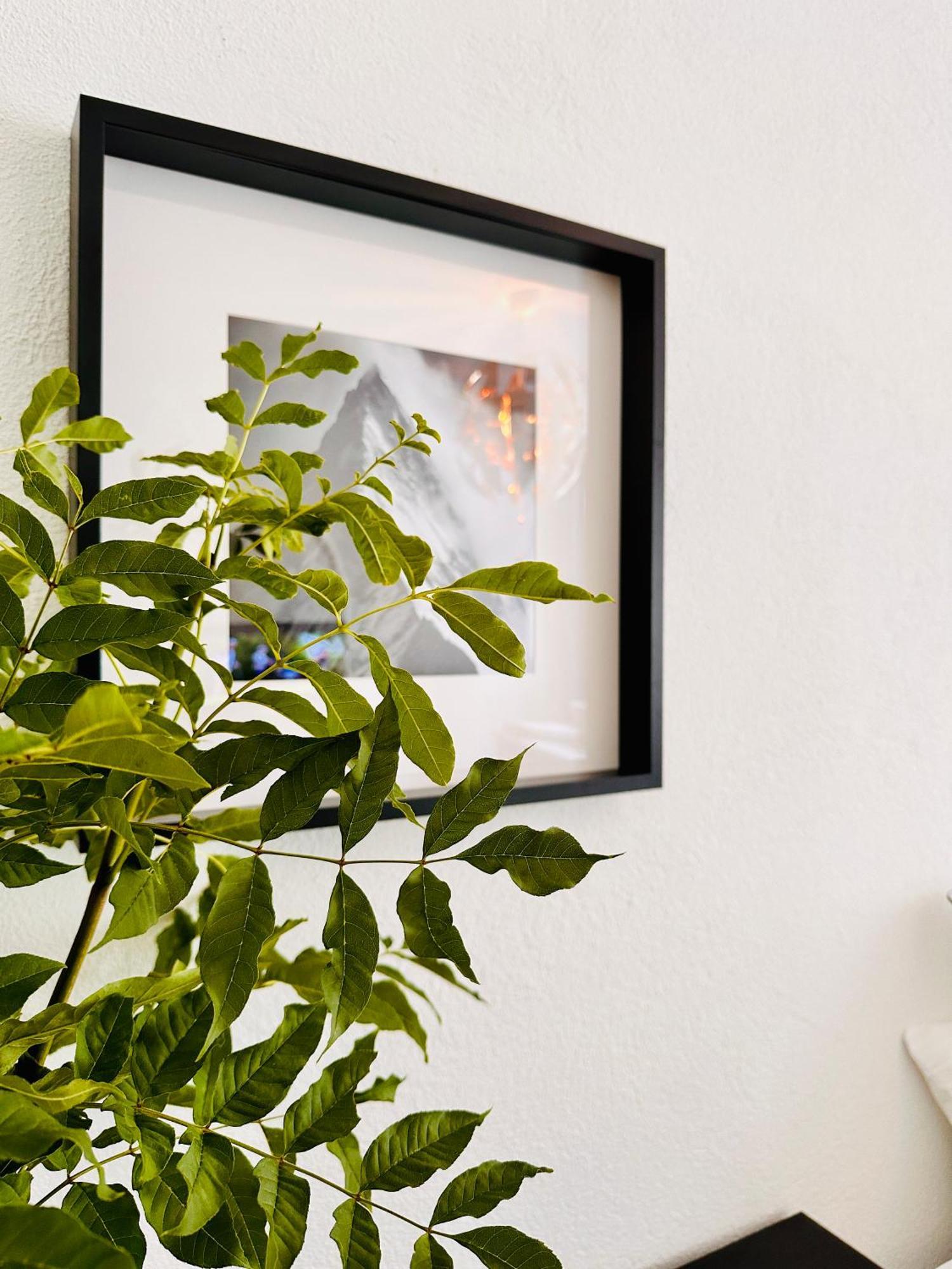 Schoene Ferienwohnung Schottwien Екстериор снимка